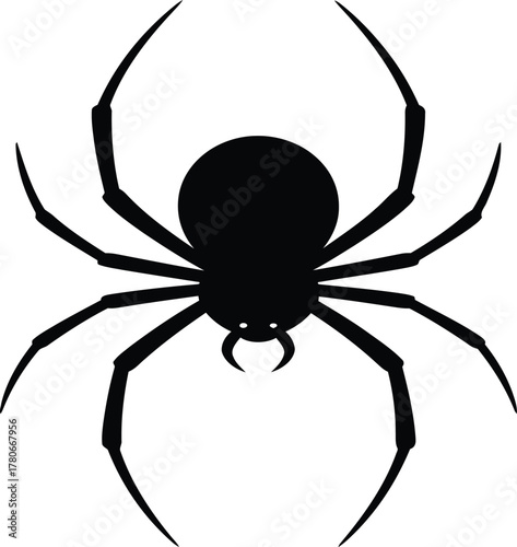 Spider vector illustration