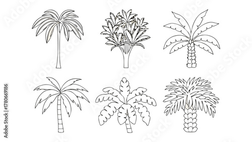 Diverse Palm Trees Line Art Collection: A curated selection of line art illustrations, each showcasing unique palm tree designs, ideal for various creative and decorative applications.