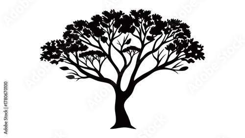 Silhouette of Tranquility: A striking silhouette of a majestic tree, its branches reaching skyward, evoking a sense of calm and the enduring strength of nature.