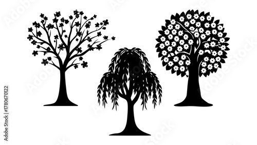 Elegant Silhouette Trees: Three distinct trees silhouetted, each representing the unique beauty of nature's arboreal forms. Their elegant shapes stand out in stark contrast.