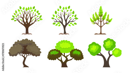 Diverse Trees: A vibrant illustration showcasing a collection of diverse trees, each with unique leaf structures and branch formations.