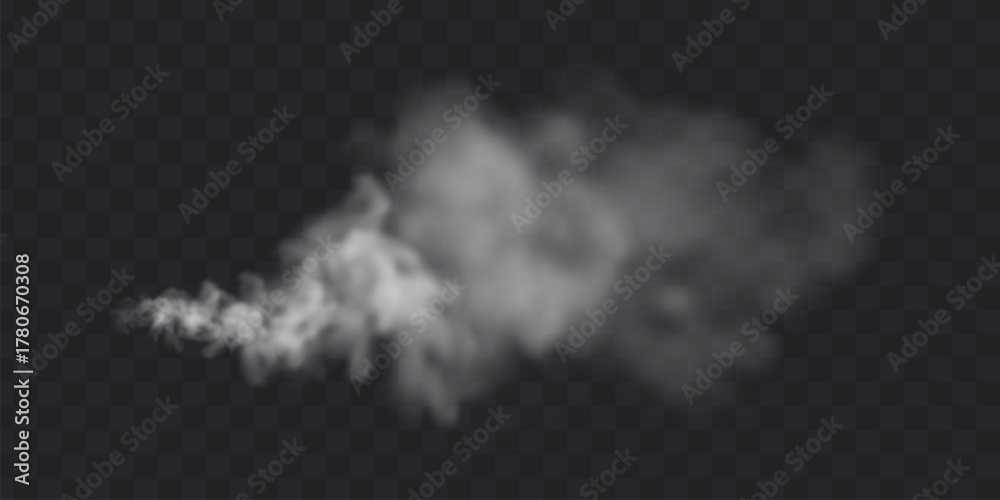 Fototapeta premium White smoke motion cloud illustration on transparent background. Speed smog vector effect.