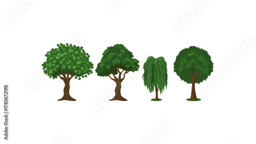 Diverse Green Trees: A collection of various lush trees, each boasting vibrant green foliage and sturdy brown trunks, forming a picturesque display of nature's artistry.