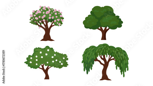 Variety of trees in the forest: An idyllic scene featuring several variations of trees. Each one stands in isolation, presenting its unique foliage and structure.