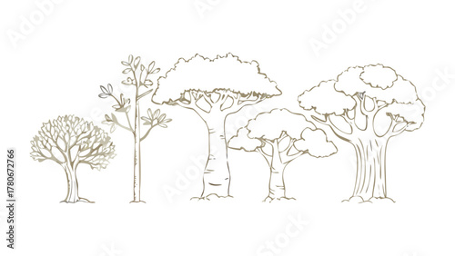 Botanical Assembly: An illustrative showcase of diverse tree forms, each uniquely crafted, contributing to an artistic woodland panorama. 