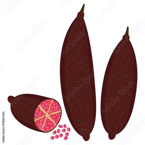 Fresh finger lime, caviar lime, fruit cut in half.