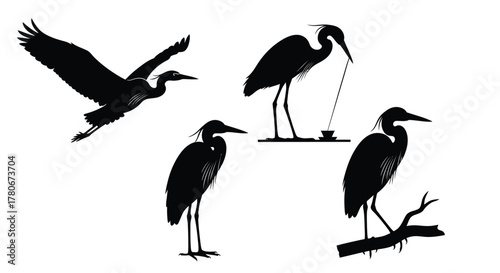 Elegant heron silhouettes showcase different poses in a minimalist style