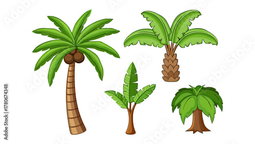 Palm Trees Illustration: A vibrant illustration showcasing an array of lush palm trees, each with distinctive foliage, evoking a sense of tropical tranquility and exotic charm.