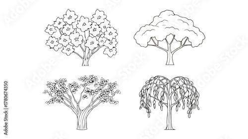 Tree Variations Line Art: Four unique tree illustrations, each showcasing a different form of arboreal elegance, are presented in clean, striking line art, perfect for any nature-themed design.