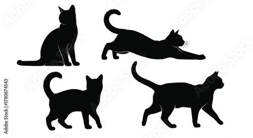 Four black cat silhouettes in various dynamic and relaxed poses