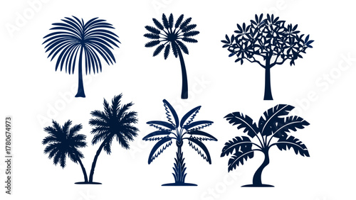Diverse Trees in Dark Silhouette: A collection of various trees, captured in dark silhouettes, against a contrasting backdrop, showcases the unique form of each plant. 