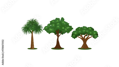 Diverse Tree Trio: A vibrant array of trees flourishes in a landscape, a testament to nature's artistry. The image shows the diversity and beauty of tree species.