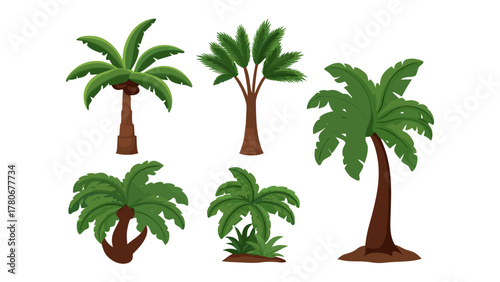 Palm Tree Collection: A vibrant illustration showcasing an array of lush palm trees, each with unique characteristics. It captures the essence of tropical allure and island life.