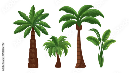 Tropical Oasis: An assortment of lush palm trees, their green fronds reaching towards the sky, set against a backdrop of natural beauty, creating a serene and inviting tropical oasis.
