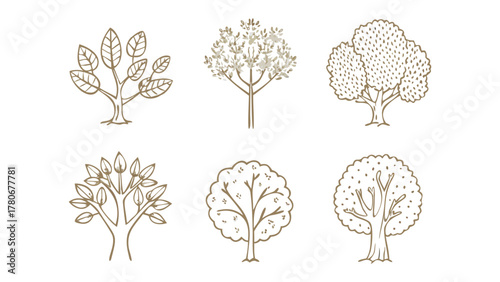 Line Art Trees: A collection of various trees illustrated in a minimalist line art style, showcasing diverse forms and textures, ideal for design assets and thematic visuals.