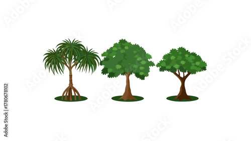 Diverse Green Trees: A vibrant illustration showcasing three distinct trees, each boasting unique foliage and structure, contributing to an inviting display.