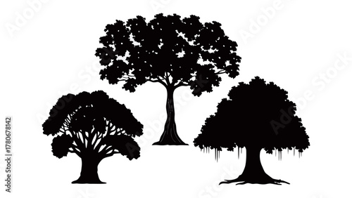 Tree Silhouette Trio: A striking trio of diverse tree silhouettes, showcasing intricate foliage and unique forms. Perfect for projects seeking a touch of natural artistry.