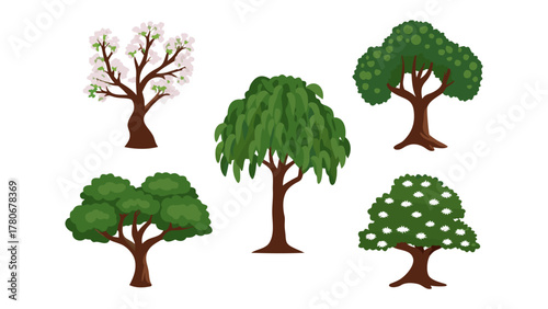 Diverse Array of Trees: A vibrant collection of various trees, each showcasing unique foliage and form, provides a glimpse into the diverse beauty of nature.