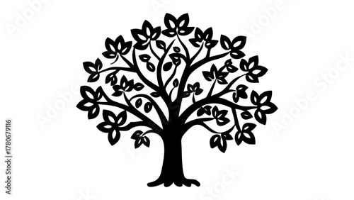 Silhouette Tree: A stark silhouette of a mature tree, its branches reaching skyward, its leafy crown hinting at the rich, organic beauty of nature.