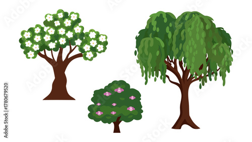 Diverse Botanical Trio: Three distinct tree specimens, each boasting unique foliage, stand together against a bright background, showcasing the diversity of the arboreal world.