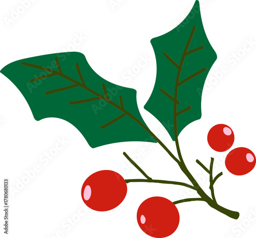 Holly berry icons, Chritmas logo wirh holly berries.Christmas holly berry flat vector illustration icons ,Cartoon holly leaves and berries.A simple illustration of holly leaves and berries