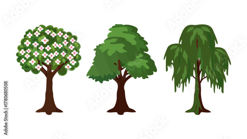 Trio of Trees: An illustration showcasing three different tree varieties, each with unique leaf structures and branch formations. They stand as a testament to nature's diverse designs.