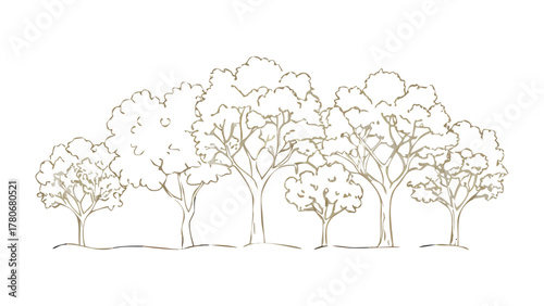 Arboreal Symphony: A pen and ink sketch showcases a collection of trees. with intricate details.