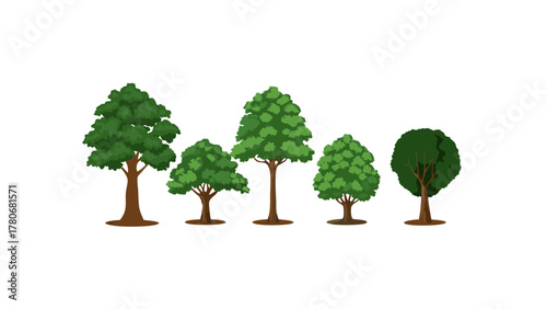 Array of Trees: A collection of various tree illustrations, each with unique foliage and trunk characteristics, set against a simple backdrop.
