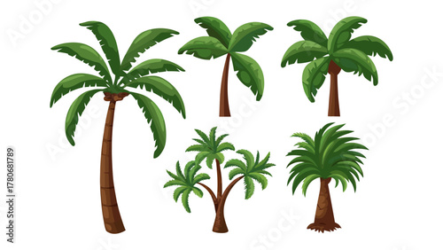 Tropical Palm Variety: A collection of lush tropical palm trees showcases diverse shapes and sizes, embodying the essence of exotic landscapes, each reaching for the sky.