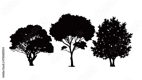 Silhouette of Trees: The image shows the distinct forms of several trees rendered as elegant black silhouettes. The trees stand out against their simple background.