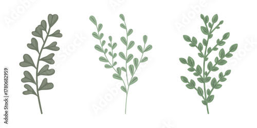 Set botanical twigs. Vector botanical decorative illustration.