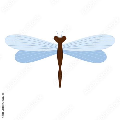 Dragonfly vector illustration on white background, Simple Hand drawn Dragonfly insect illustration