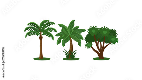Tropical Greenery: A vivid display of three distinct palm trees, each showcasing unique frond arrangements and sturdy trunks, set against a pristine backdrop.