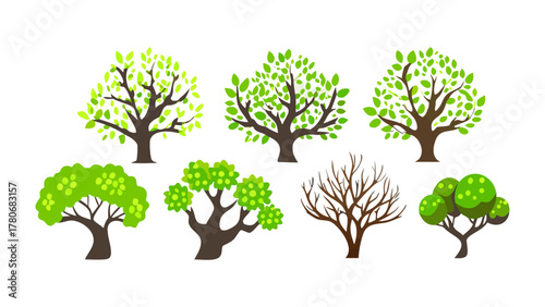 Diverse Tree Collection: A vibrant assortment of tree illustrations, showcasing variations in foliage, branching, and overall structure.
