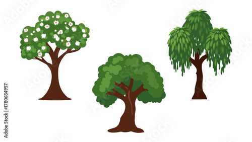 Various Green Trees in a Row: A vibrant illustration showcasing three distinct trees with lush, verdant foliage, each displaying unique characteristics. This visual celebrates nature's variety.
