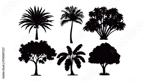 Silhouette of Trees Variety: A striking collection showcases a diverse arrangement of tree silhouettes, perfect for adding a touch of natural artistry to your designs.