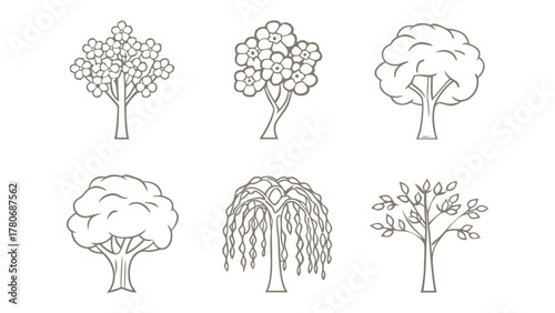 Array of Trees: A collection of various tree illustrations showcases the diverse forms and foliage found in nature. A celebration of botanical elegance.