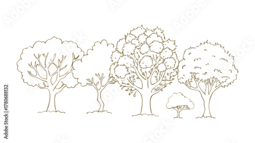 Line Art Forest: A collection of various tree species forms a forest landscape illustrated with intricate line art, presenting a serene portrayal of natural environment.