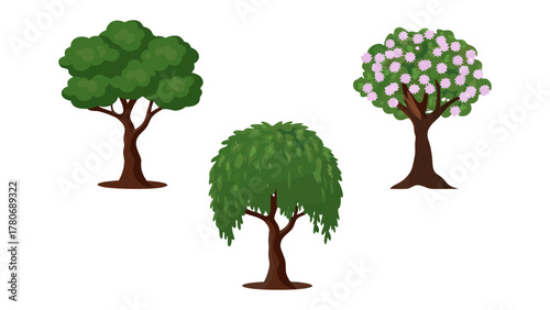 Tree Trio: A captivating visual showcases three distinct trees, each representing a different species with unique characteristics and designs, offering a glimpse into the diverse beauty of nature.