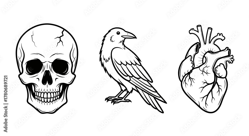 Fototapeta premium Symbolic arrangement featuring a skull, raven, and heart against a stark white backdrop