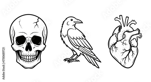 Symbolic arrangement featuring a skull, raven, and heart against a stark white backdrop