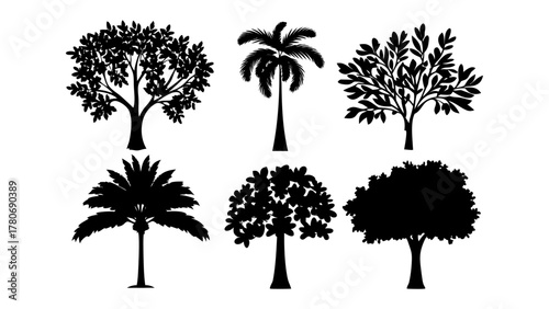 Silhouette of Various Trees: A selection of six distinctive trees, presented in elegant black silhouettes, showcasing the diverse beauty of nature's arboreal forms.