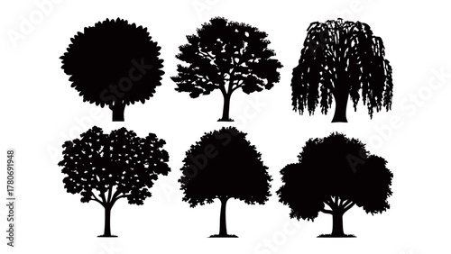 Botanical silhouettes: A compilation of trees with distinct crowns, rendered in elegant silhouettes, suitable for graphic design. Capturing the diverse forms of nature.