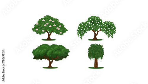 Variety of Tree Types: Showcasing a range of tree species with varying foliage and shapes, perfect for educational or artistic purposes. A botanical study