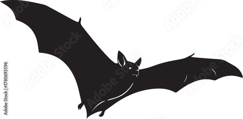 Silhouette of a bat in flight with wings spread wide isolated on a