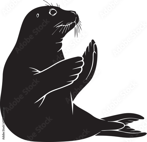 Adorable black seal sitting upright with paws together arctic marine animal wildlife