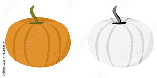 Simple Illustration of Orange and White Pumpkins – Autumn and Halloween Decoration