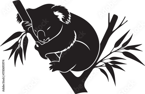 Cute black silhouette koala sleeping peacefully on eucalyptus tree branch in australia