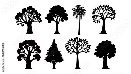 Silhouette Trees: An assortment of tree silhouettes. This collection showcases a diverse range of tree forms, ideal for creative projects and adding a touch of natural elegance.