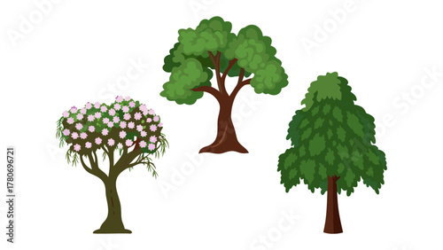 Diverse Green Trees: A collection of various lush, leafy trees showcases the beauty and variety of arboreal life, each with unique foliage and form.